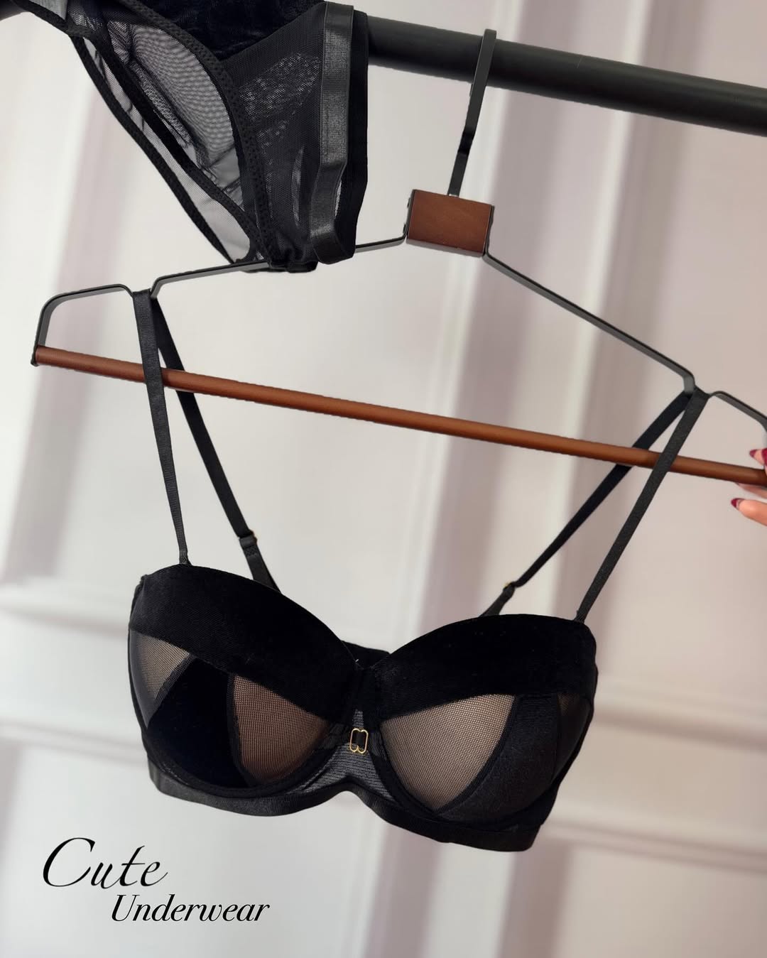 Women's Velvet & Sheer Mesh Push-Up Bra Set