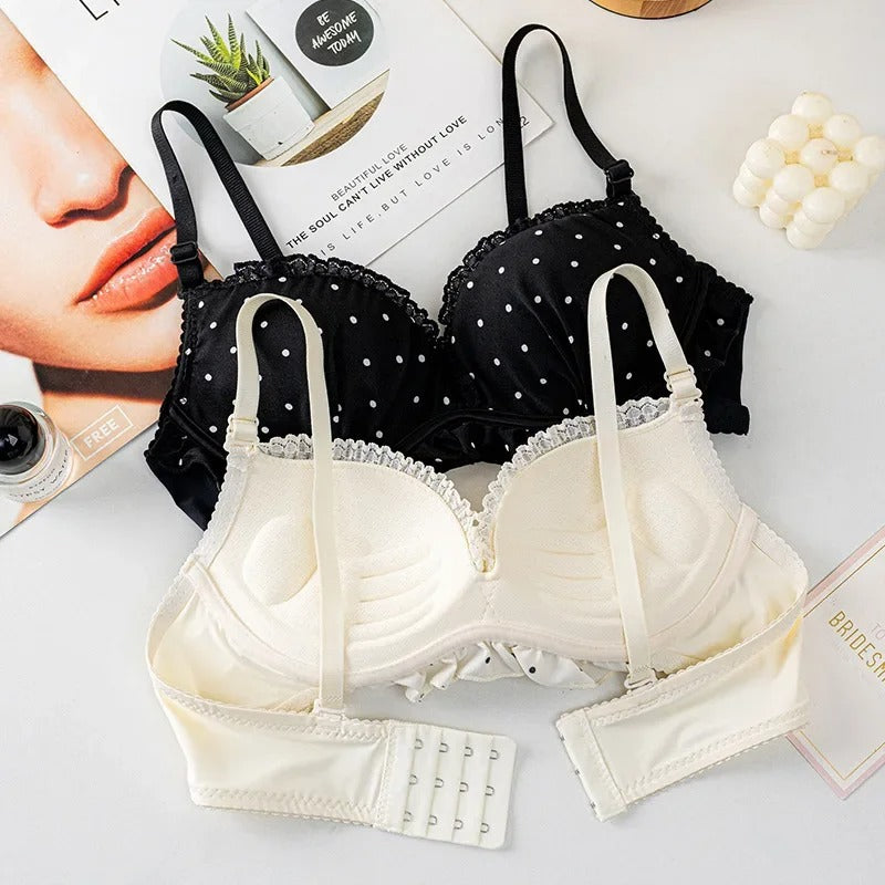 Premium Elegant Embroidered Lace Bra & Brief Set
