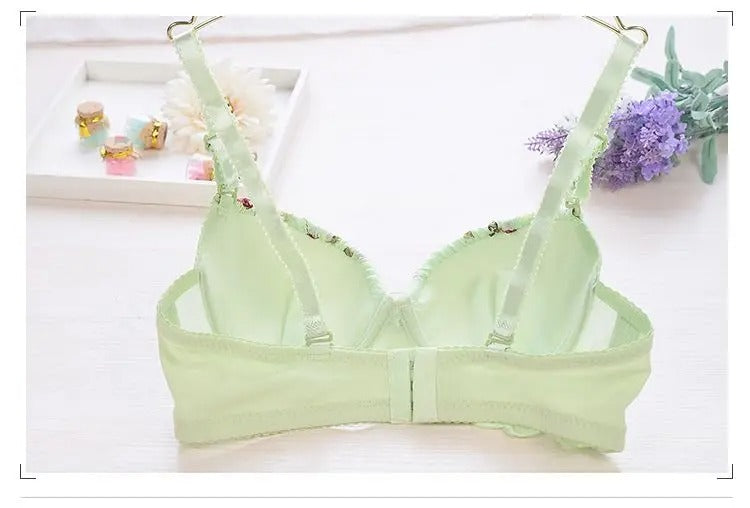 Luxury Dream Padded Lace Bra & Matching Panty Set