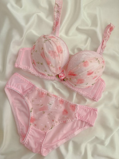 Premium Soft Mesh Floral Embroidered Bra & Panty Set